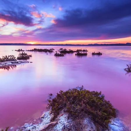 アパート Imperial Ii *